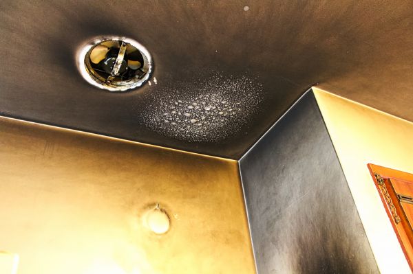 Cost of Smoke Damage Remediation in Shawnee